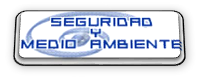 SEGURIDAD Y MEDIOAMBIENTE